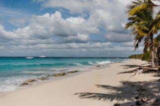Bungalow en Guadeloupe : hebergement tropical et abordable