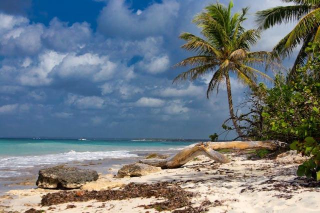 Louer un gite a Marie-Galante : la Guadeloupe hors des sentiers battus