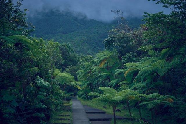 Gites en montagne en Guadeloupe : sejour au frais avec vue sur la mer