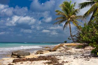 Gîte a Marie-Galante : île authentique au large de Guadeloupe