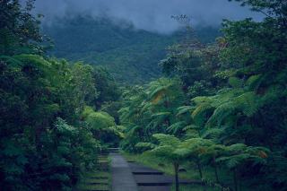 Gîte en montagne en Guadeloupe : fraîcheur et panorama