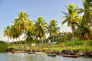 Gîte a Petit-Bourg Guadeloupe : nature et tranquillité