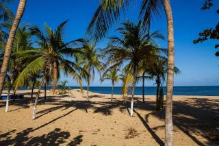 Gîte près de la plage en Guadeloupe : les pieds dans le sable