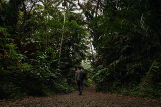 Randonner en Guadeloupe : la Soufrière est un volcan en activité