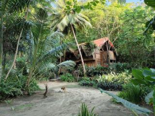 Réservation gîte Guadeloupe : conseils pour réserver au bon moment