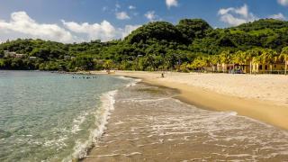 Villa en Guadeloupe : location de prestige avec piscine